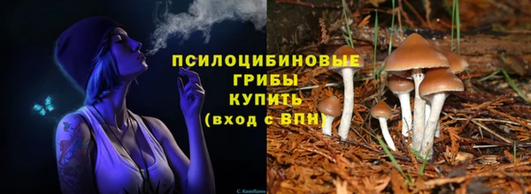метамфетамин Богданович