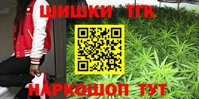 индика Волжск